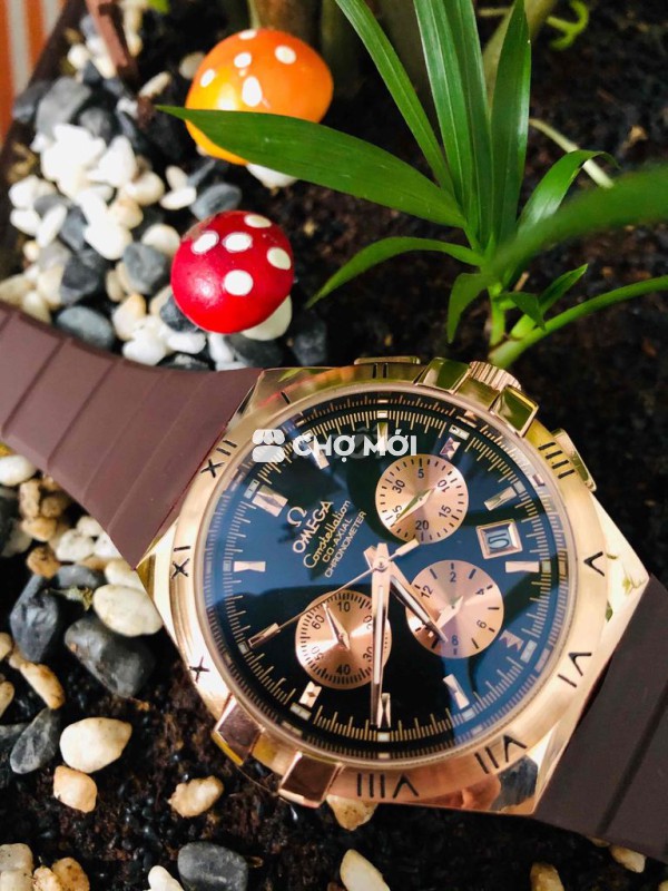 bán đồng hồ Thụy Sĩ và Nhật nội địa