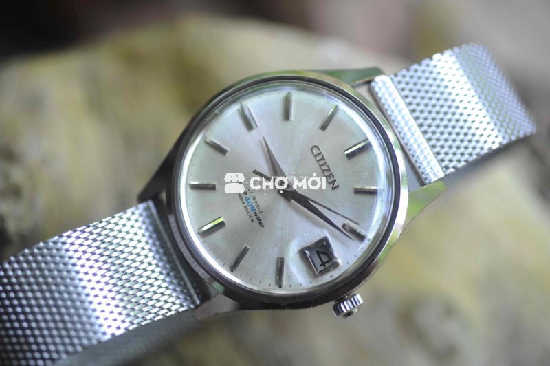 citizen homer 17 jewells