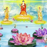 Phong 