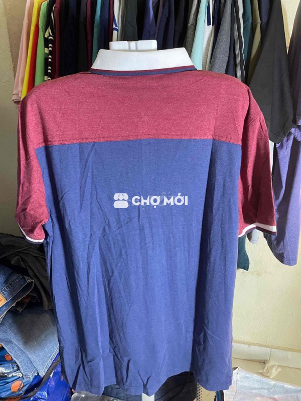 Áo polo nam Pierre Cardin vải cotton cổ bẻ