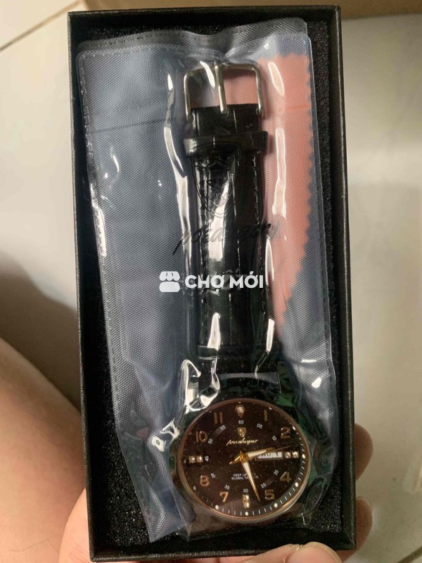 Đồng hồ POEDAGAR dây da