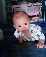 Hồng Nguyễn 