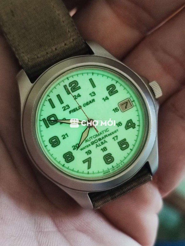 Alba nội địa full dạ quang