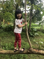 Ông Đồ Nghệ