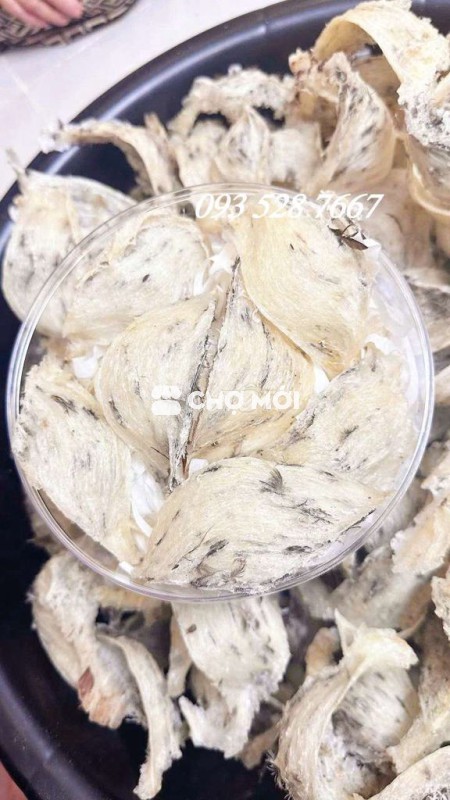YẾN THÔ ÍT LÔNG