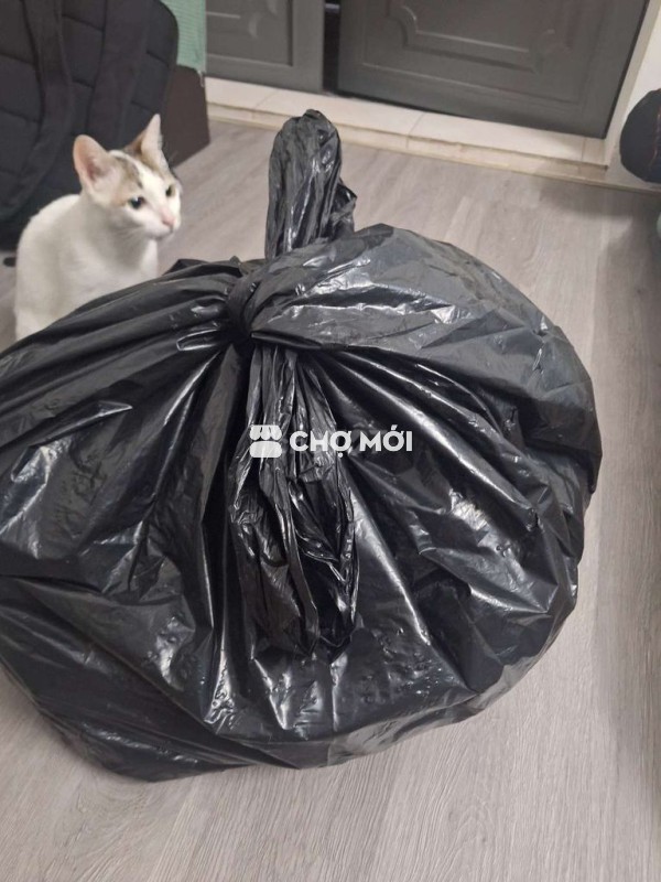Cho tặng quần áo, túi