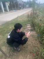 Ngô cảnh bds