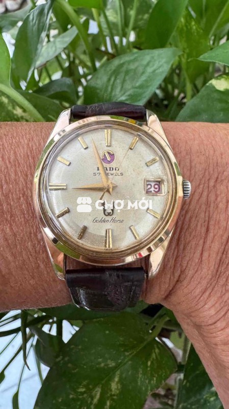 Rado cổ, giá không bớt