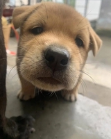 Đồ Cũ thanh lý