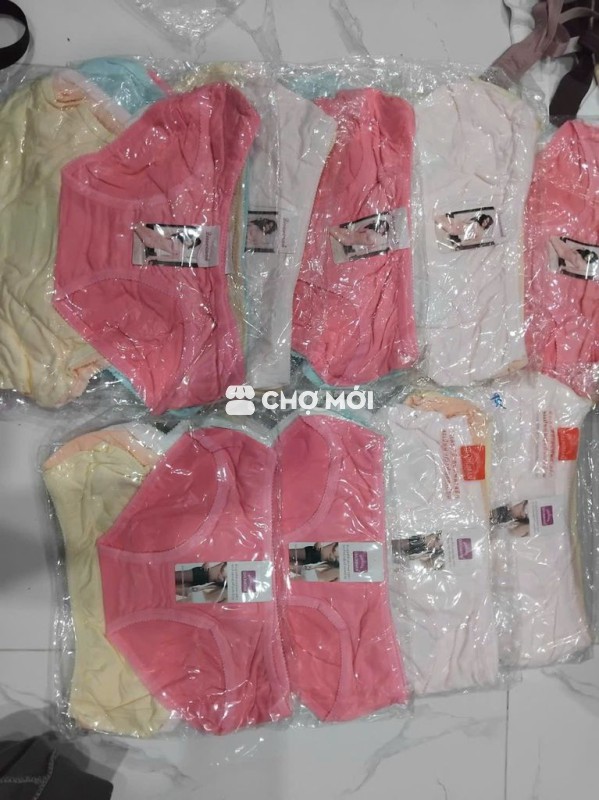 Quần lót nữ coton co giãn