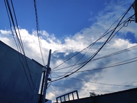 Bảy