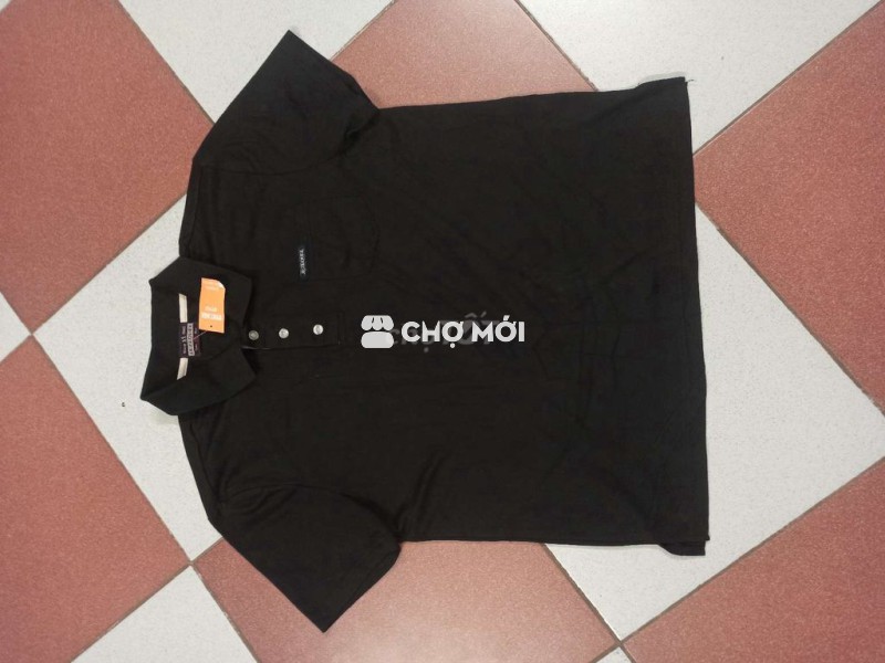 Polo Hàn, mới 100%