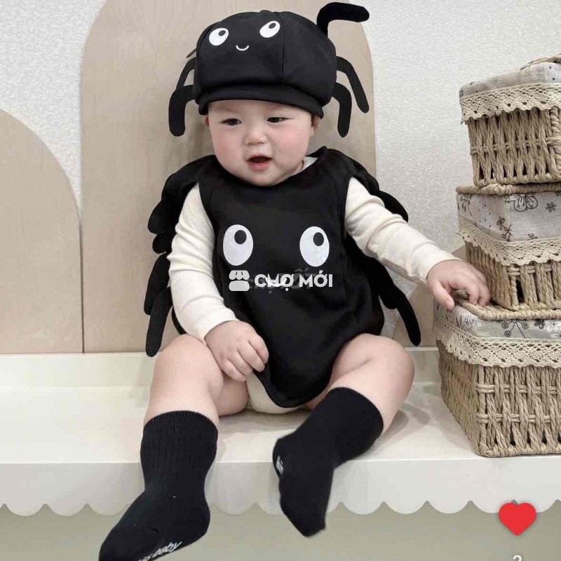 Bộ hallowen con nhện