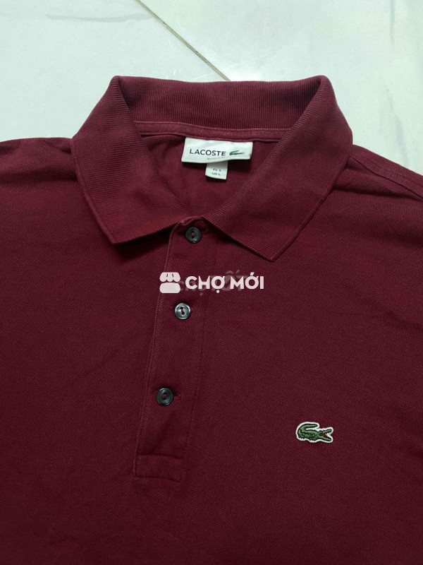 polo lacoste cá sấu còn mới