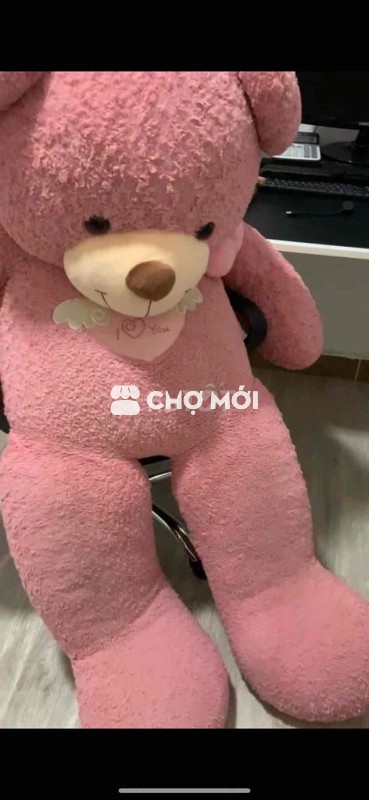 Gấu size đại 1m6. Thanh lý 100k cho bé