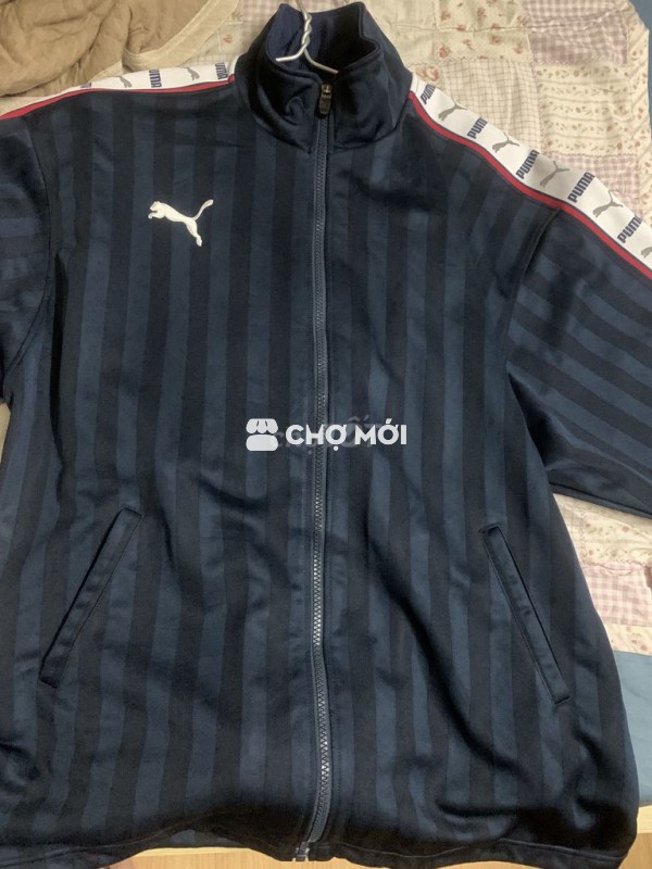 bộ nỉ Púma chính hãng