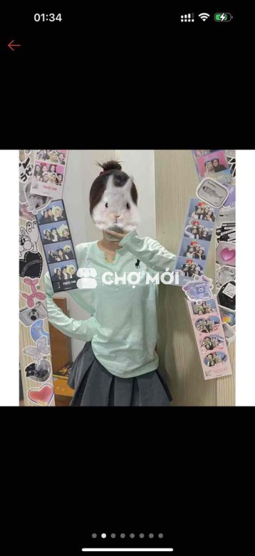 Áo thun tay dài xanh mint