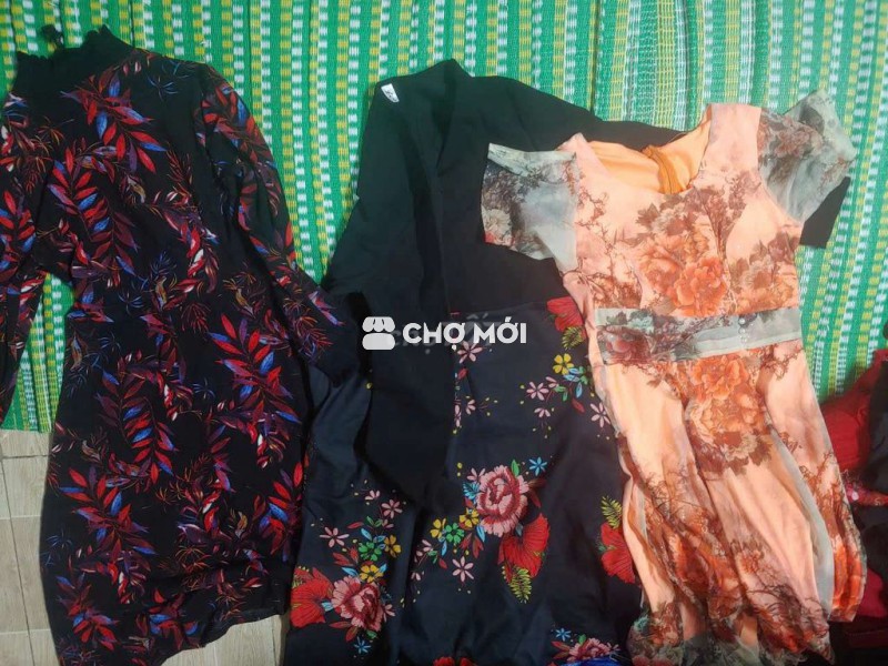 Thanh lý Đầm si nử