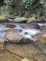 Nguyễn Thị Diễm my