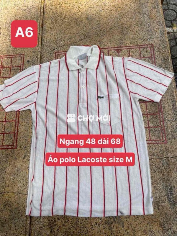 5 áo polo size nhu hinh