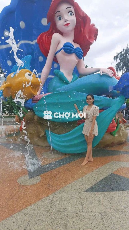 Set áo+ váy+ áo trong