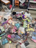 Phạm trần tuyết như