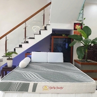 NỆM TỔNG HỢP DANA PACIFIC