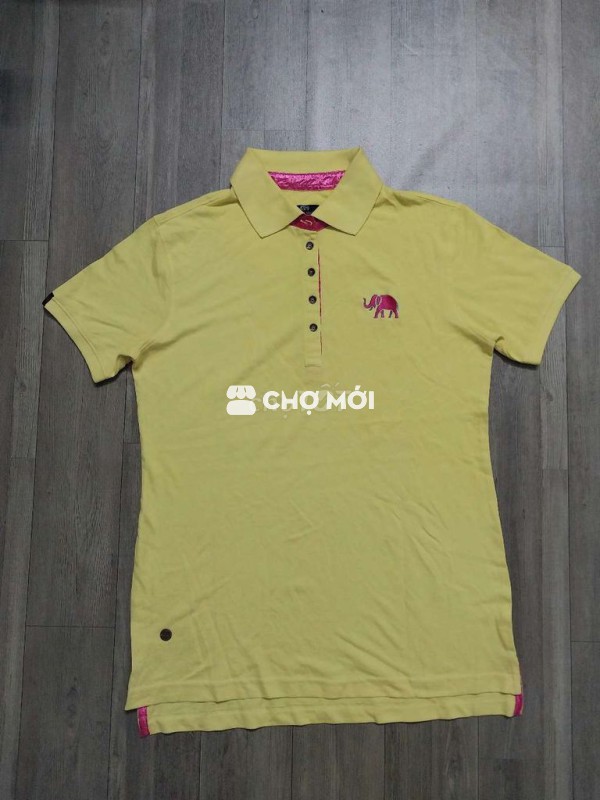 Polo nữ mới tinh size XL