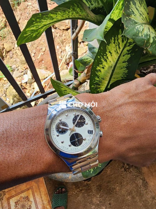 Đh swatch swiss