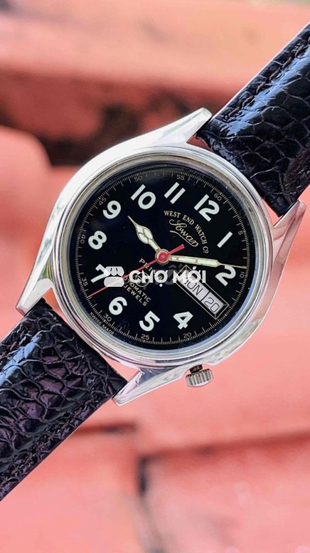 Tự động thuỵ sỹ