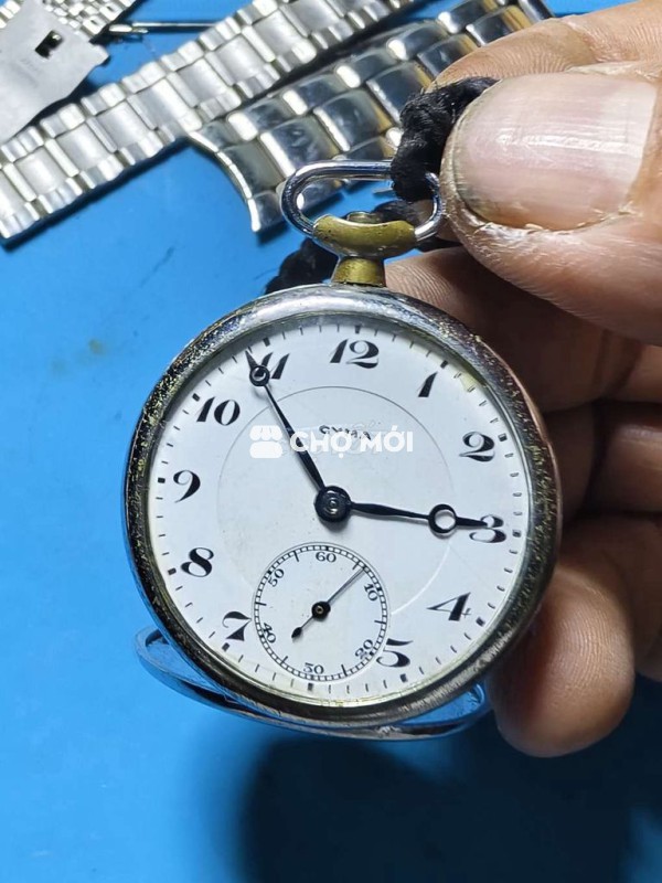 QUẢ QUÝT BÁN T.XỬ