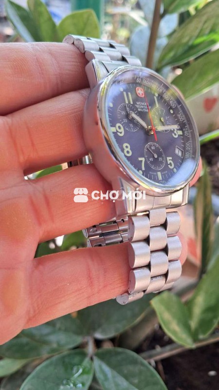 Đh quân đội Thụy Sỹ Swiss Wenger