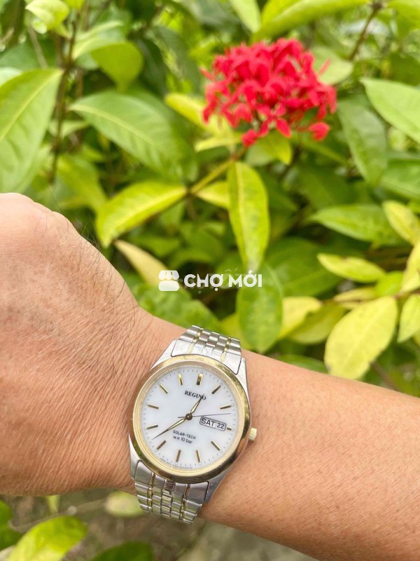 Đồng Hồ Reguno size 35 pin năng lượng.