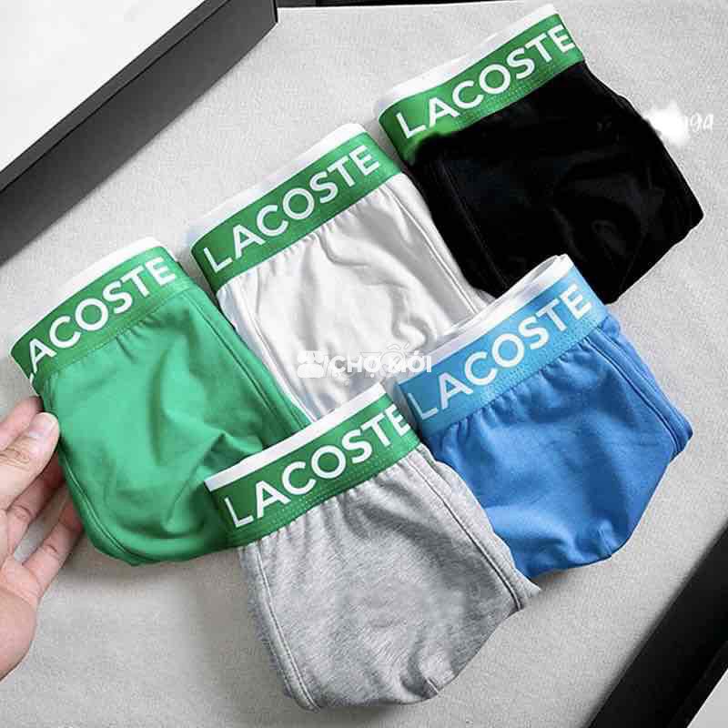 COMBO 4 QUẦN SỊP ĐÙI NAM LACOS, TOMMY COTTON