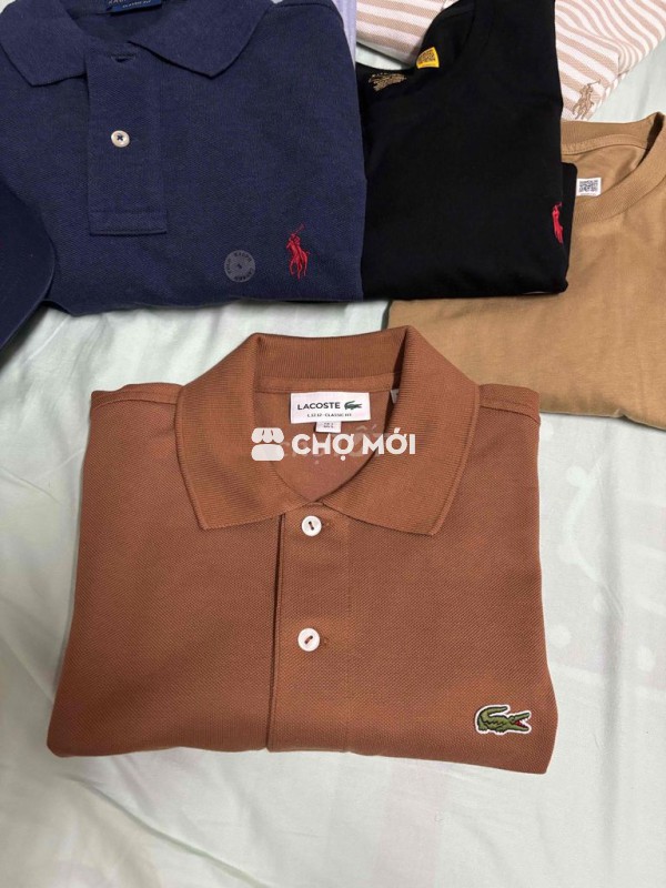 áo lacoste xách tay Mỹ