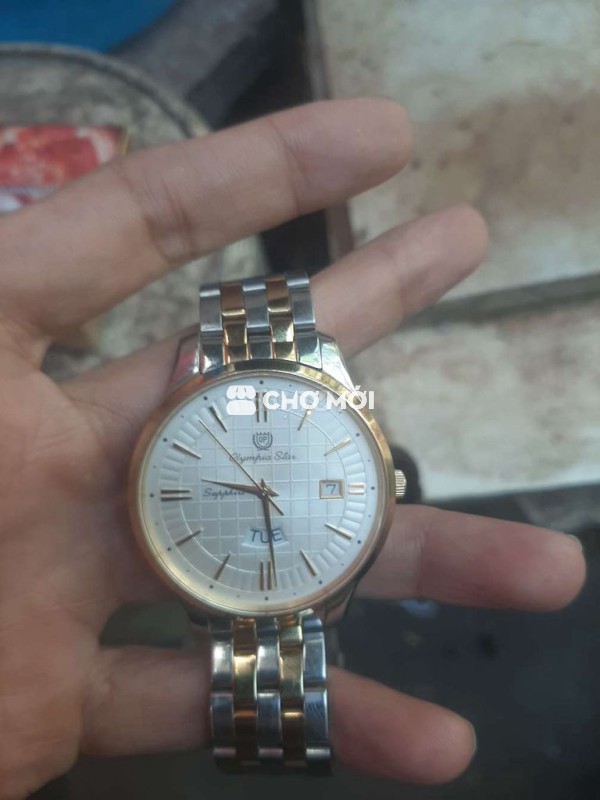 Đồng hồ Olympia Star Nam Thép không gỉ