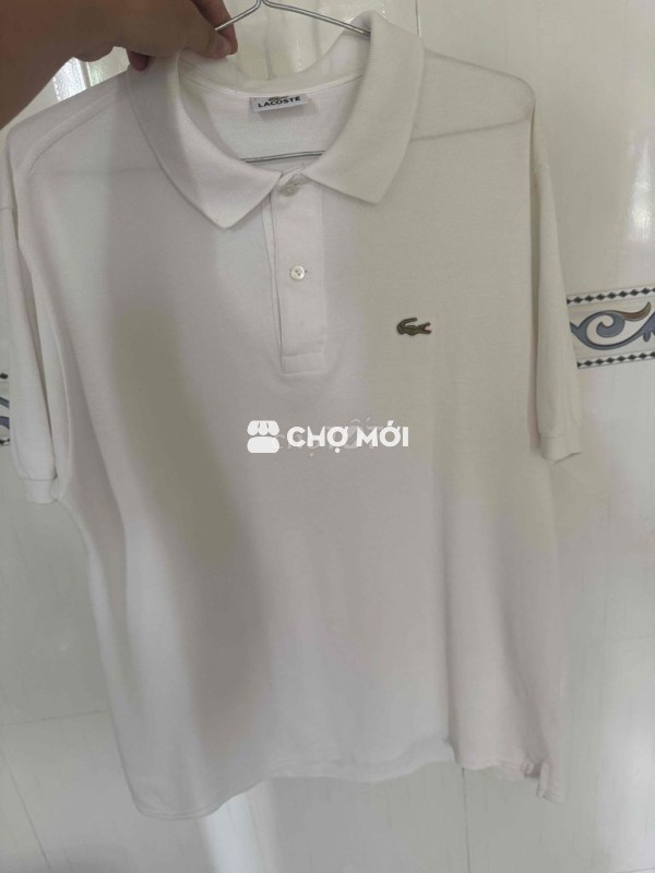 polo lacoste