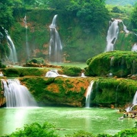 sưu tầm cần thanh lý 