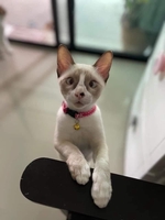 Toàn Năng Lượng