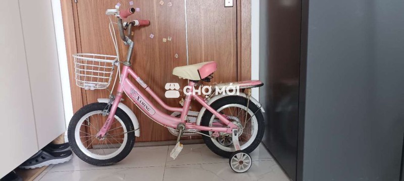 Xe đạp 300k, xích lô 100k, xe đẩy 250k.