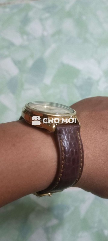 Đồng hồ Seiko Automatic bọc Vàng 14K