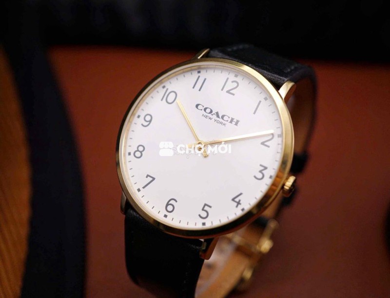 Đồng hồ đeo tay Coach Slim Easton Chính Hãng