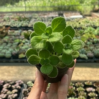 shop chuyên thanh lý giá rẻ