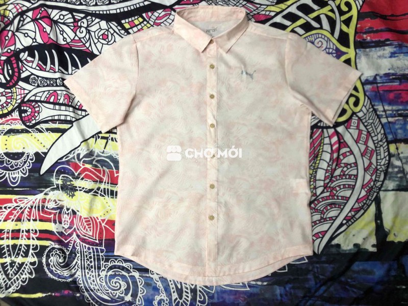 Báo sơmi hoạ tiết chìm 50-65kg