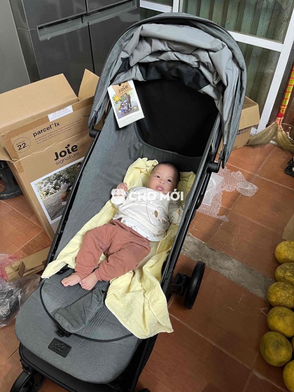 Xe đẩy Joie Parcel LX Ghi đã sử dụng