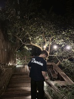 lê nguyễn phương nam