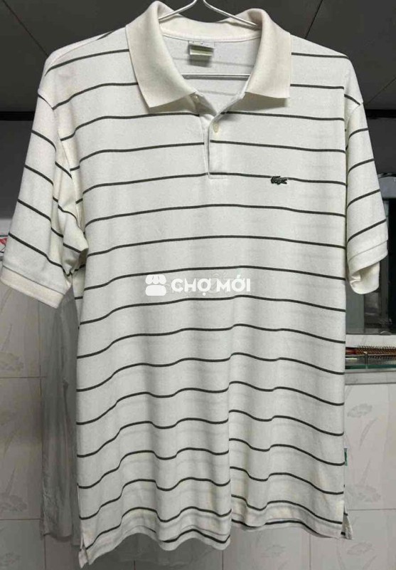 Áo polo Lacoste nam Cotton Trắng sọc đen