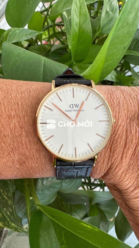 Đồng hồ Daniel Wellington Thép không gỉ