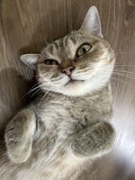 Minh Đức Nguyễn