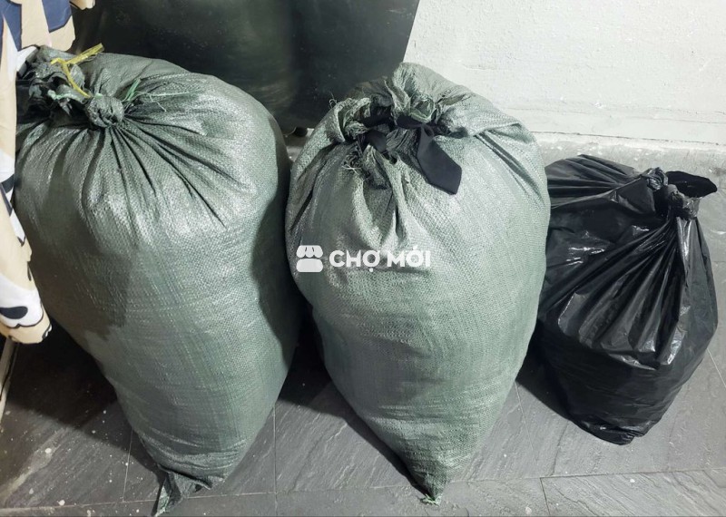 SỈ 100 QUẦN JEAN NGẮN